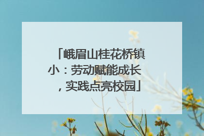 峨眉山桂花桥镇小：劳动赋能成长，实践点亮校园