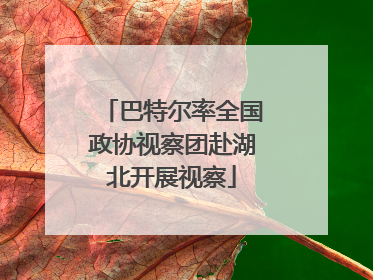 巴特尔率全国政协视察团赴湖北开展视察