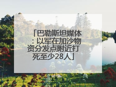 巴勒斯坦媒体：以军在加沙物资分发点附近打死至少28人