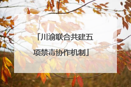 川渝联合共建五项禁毒协作机制