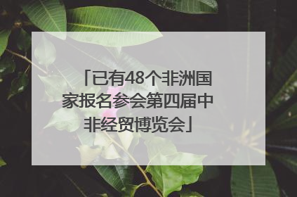 已有48个非洲国家报名参会第四届中非经贸博览会