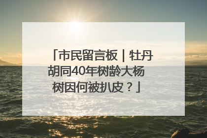 市民留言板｜牡丹胡同40年树龄大杨树因何被扒皮？