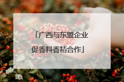 广西与东盟企业促香料香精合作