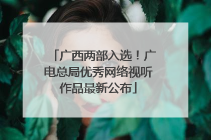 广西两部入选！广电总局优秀网络视听作品最新公布