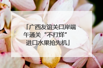 广西友谊关口岸端午通关“不打烊” 进口水果抢先机
