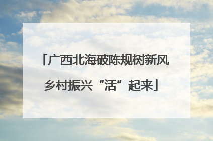 广西北海破陈规树新风 乡村振兴“活”起来