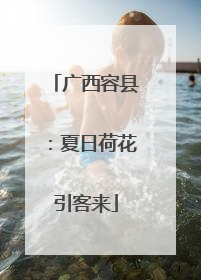 广西容县：夏日荷花引客来