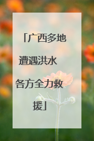广西多地遭遇洪水 各方全力救援