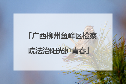 广西柳州鱼峰区检察院法治阳光护青春