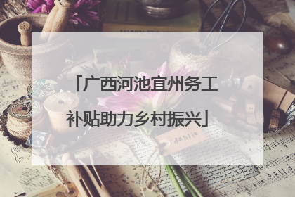 广西河池宜州务工补贴助力乡村振兴