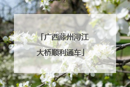 广西藤州浔江大桥顺利通车