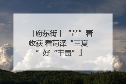 府东街丨“芒”着收获 看菏泽“三夏”好“丰景”
