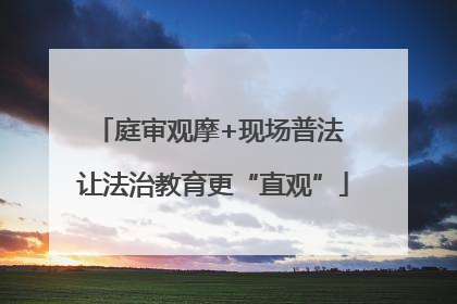 庭审观摩+现场普法 让法治教育更“直观”