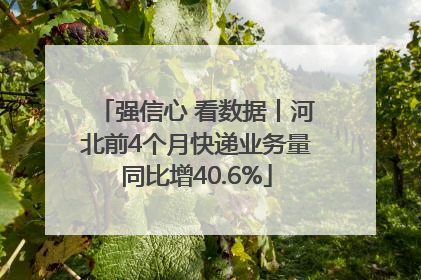 强信心 看数据丨河北前4个月快递业务量同比增40.6%