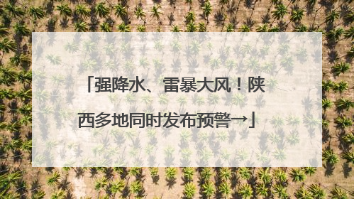 强降水、雷暴大风！陕西多地同时发布预警→