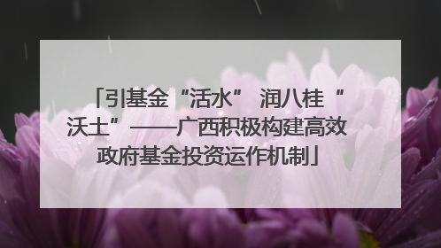 引基金“活水” 润八桂“沃土”——广西积极构建高效政府基金投资运作机制