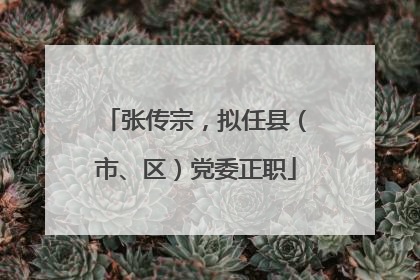 张传宗，拟任县（市、区）党委正职