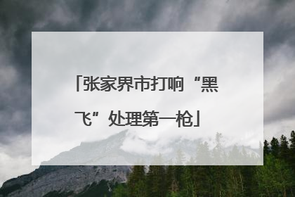 张家界市打响“黑飞”处理第一枪