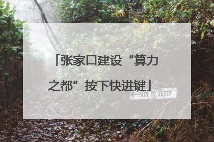 张家口建设“算力之都”按下快进键