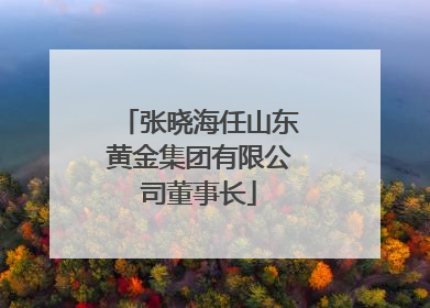 张晓海任山东黄金集团有限公司董事长