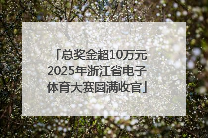 总奖金超10万元 2025年浙江省电子体育大赛圆满收官