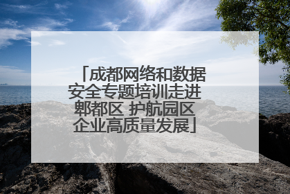 成都网络和数据安全专题培训走进郫都区 护航园区企业高质量发展
