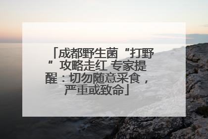成都野生菌“打野”攻略走红 专家提醒：切勿随意采食，严重或致命