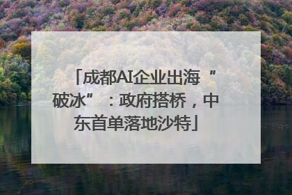 成都AI企业出海“破冰”：政府搭桥，中东首单落地沙特