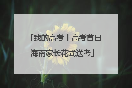 我的高考丨高考首日 海南家长花式送考
