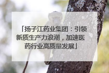 扬子江药业集团：引领新质生产力浪潮，加速医药行业高质量发展