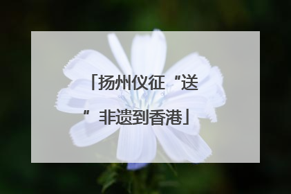 扬州仪征“送”非遗到香港