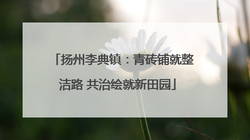 扬州李典镇：青砖铺就整洁路 共治绘就新田园