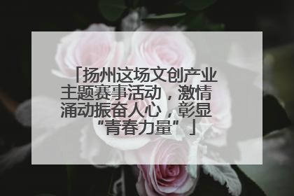 扬州这场文创产业主题赛事活动，激情涌动振奋人心，彰显“青春力量”
