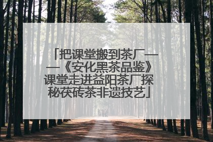 把课堂搬到茶厂——《安化黑茶品鉴》课堂走进益阳茶厂探秘茯砖茶非遗技艺