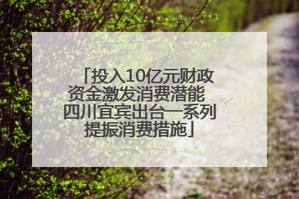 投入10亿元财政资金激发消费潜能 四川宜宾出台一系列提振消费措施