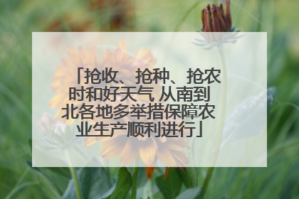 抢收、抢种、抢农时和好天气 从南到北各地多举措保障农业生产顺利进行