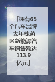 拥有65个汽车品牌 去年槐荫区新能源汽车销售额达113.9亿元