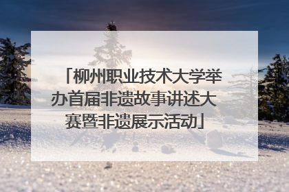 柳州职业技术大学举办首届非遗故事讲述大赛暨非遗展示活动