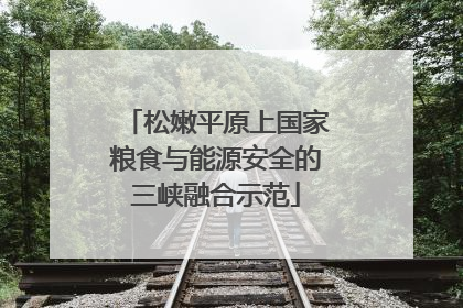 松嫩平原上国家粮食与能源安全的三峡融合示范