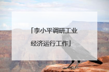 李小平调研工业经济运行工作
