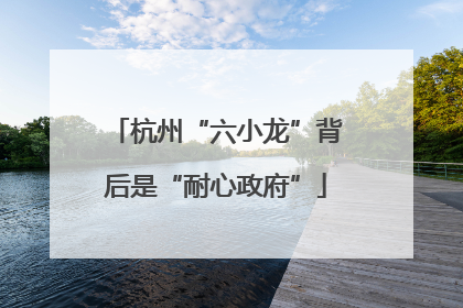 杭州“六小龙”背后是“耐心政府”