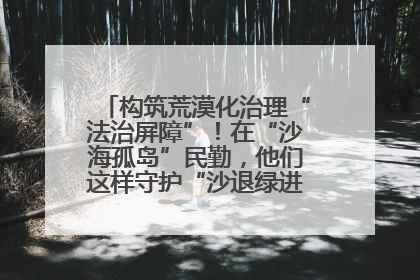 构筑荒漠化治理“法治屏障”！在“沙海孤岛”民勤，他们这样守护“沙退绿进”的生态奇迹