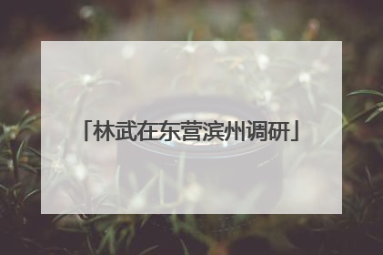 林武在东营滨州调研