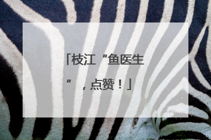 枝江“鱼医生”，点赞！