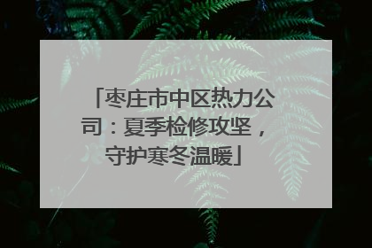 枣庄市中区热力公司：夏季检修攻坚，守护寒冬温暖