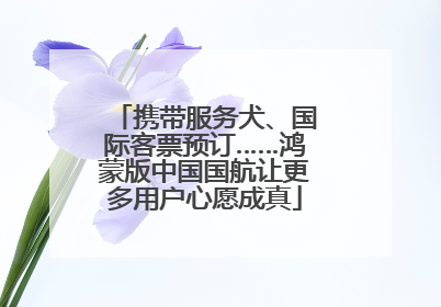 携带服务犬、国际客票预订……鸿蒙版中国国航让更多用户心愿成真