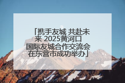携手友城 共赴未来 2025黄河口国际友城合作交流会在东营市成功举办