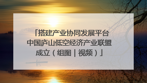 搭建产业协同发展平台 中国庐山低空经济产业联盟成立（组图｜视频）