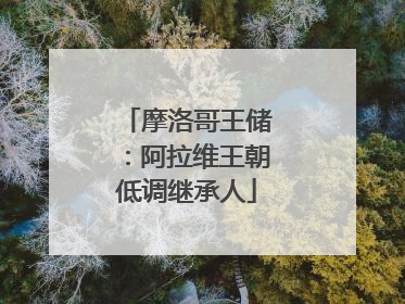 摩洛哥王储：阿拉维王朝低调继承人