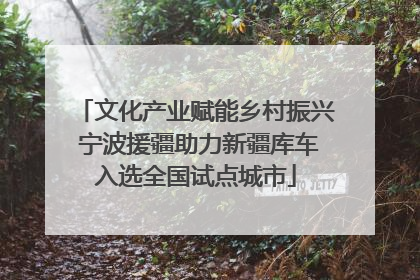 文化产业赋能乡村振兴 宁波援疆助力新疆库车入选全国试点城市